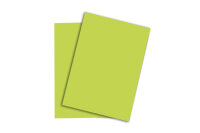 PAPYRUS Rainbow Papier FSC A4 88043110 leuchtend grün, 120g 250 Blatt