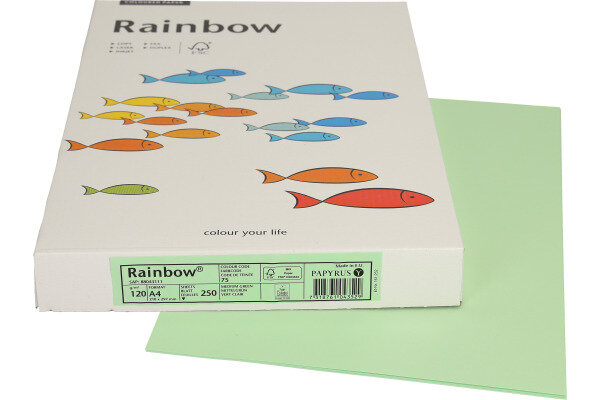 RAINBOW Papier vert moyen/75 A4 88043111 FSC, 120g 250 feuilles