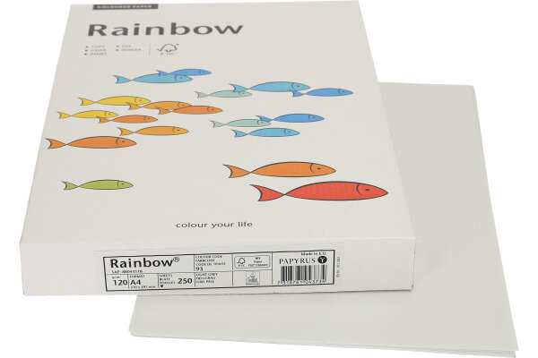 RAINBOW Papier hellgrau/93 A4 88043118 FSC, 120g 250 Blatt