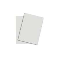 PAPYRUS Rainbow Paper FSC A4 88043118 120g, gris 250...