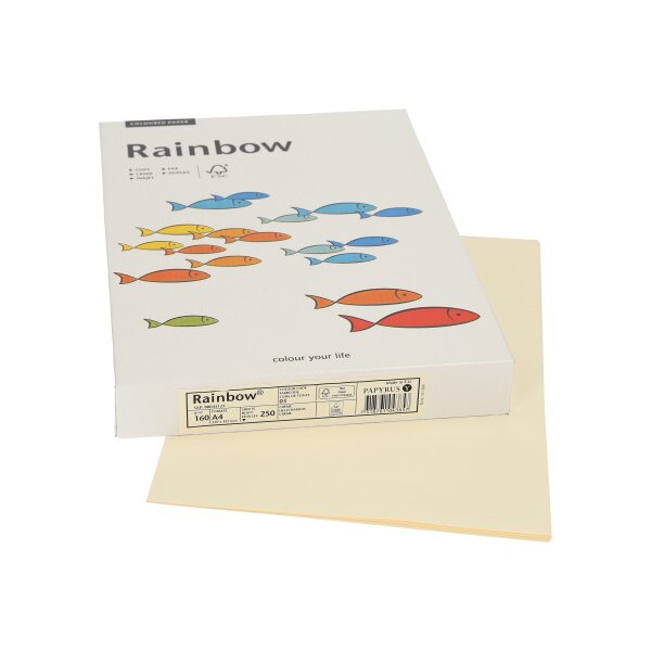 RAINBOW Papier chamois clair/03 A4 88043123 FSC, 160g 250 feuilles