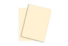 PAPYRUS Rainbow Papier FSC A4 88043123 hellchamois, 160g 250 Blatt