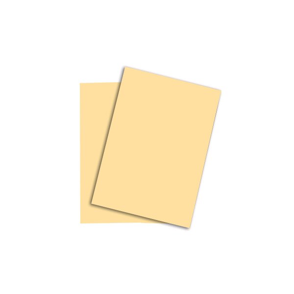 RAINBOW Papier chamois/06 A4 88043124 FSC, 160g 250 feuilles