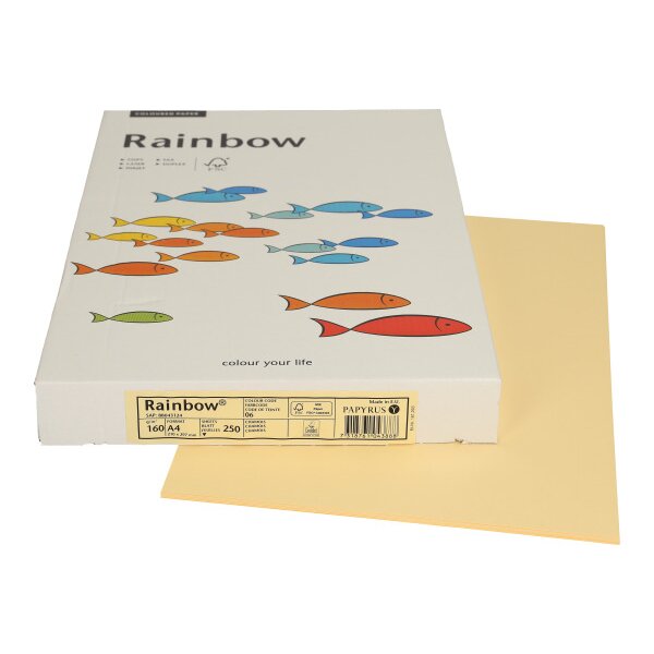 RAINBOW Papier chamois/06 A4 88043124 FSC, 160g 250 feuilles