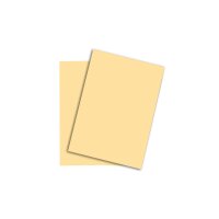 PAPYRUS Rainbow Paper FSC A4 88043124 160g, chamois 250...