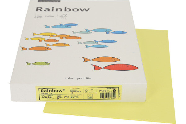 RAINBOW Papier mittelgelb/14 A4 88043126 FSC, 160g 250 Blatt