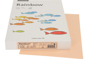 RAINBOW Papier lachs/40 A4 88043133 FSC, 160g 250 Blatt
