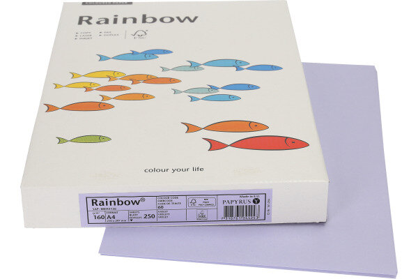 RAINBOW Papier violet/60 A4 88043136 FSC, 160g 250 feuilles