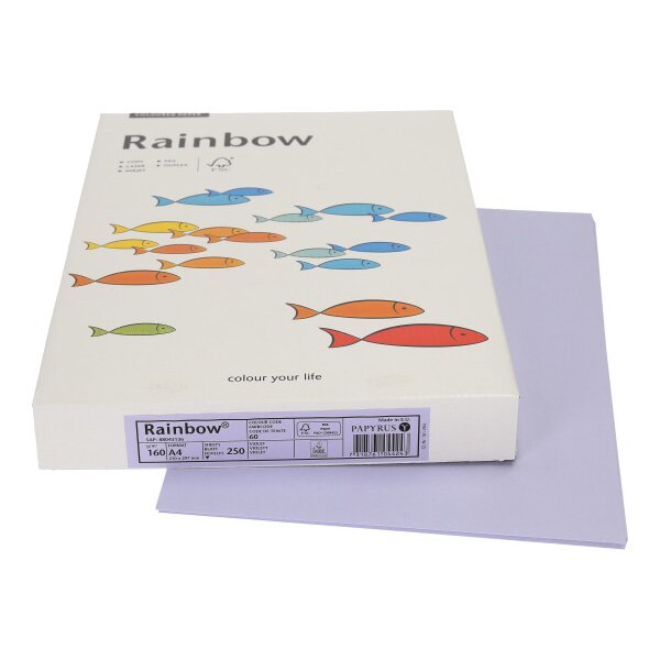 RAINBOW Papier violet/60 A4 88043136 FSC, 160g 250 feuilles