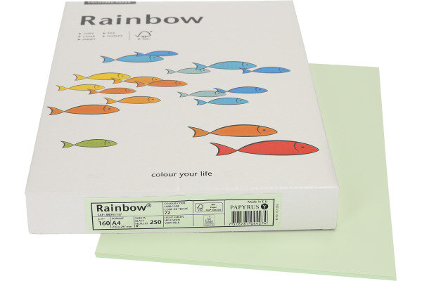 RAINBOW Papier hellgr&uuml;n/72 A4 88043137 FSC, 160g 250 Blatt