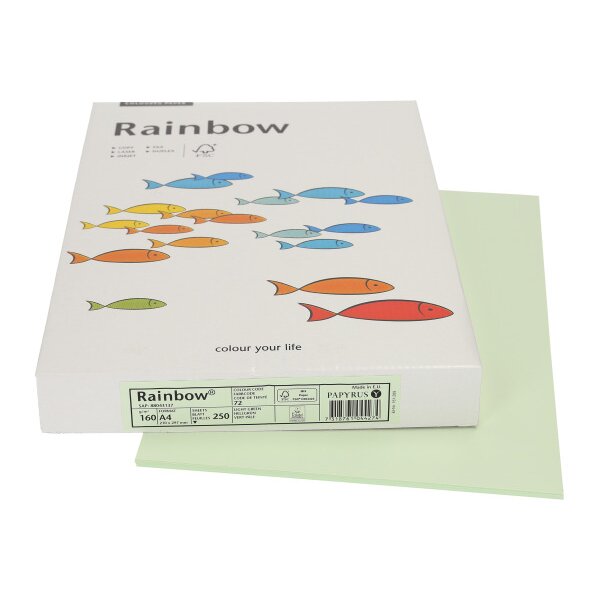 RAINBOW Papier vert clair/72 A4 88043137 160g, vert 250 feuilles