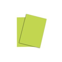 PAPYRUS Rainbow Paper FSC A4 88043138 160g, vert 250...