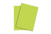 PAPYRUS Rainbow Papier FSC A4 88043138 leuchtend grün, 160g 250 Blatt
