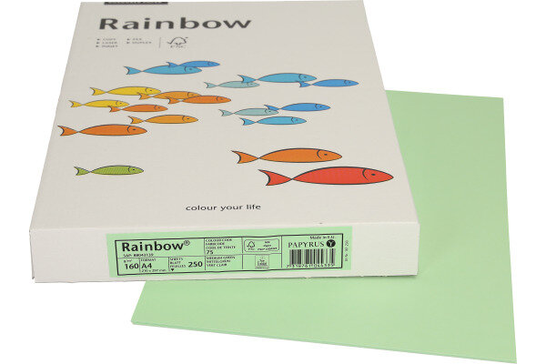 RAINBOW Papier mittelgr&uuml;n/75 A4 88043139 FSC, 160g 250 Blatt