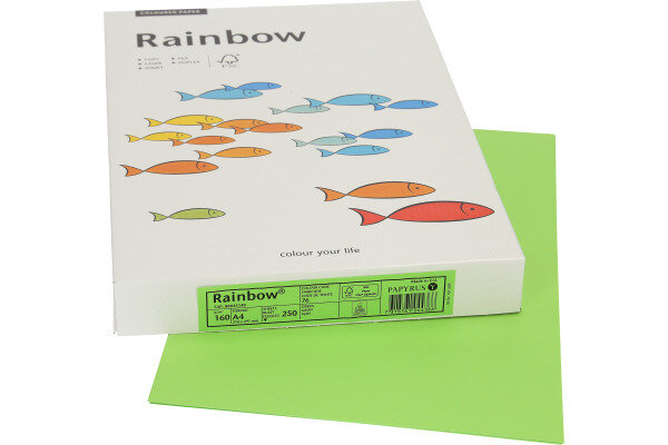 RAINBOW Papier gr&uuml;n/76 A4 88043140 FSC, 160g 250 Blatt