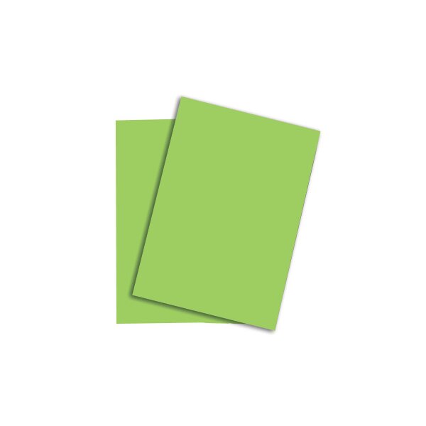 RAINBOW Papier vert/76 A4 88043140 FSC, 160g 250 feuilles