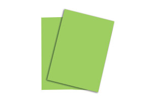 RAINBOW Papier grün/76 A4 88043140 FSC, 160g 250 Blatt
