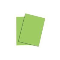 PAPYRUS Rainbow Paper FSC A4 88043140 160g, vert 250...