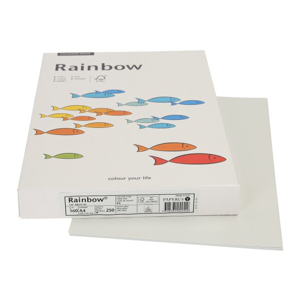 RAINBOW Papier gris clair/93 A4 88043146 FSC, 160g 250 feuilles