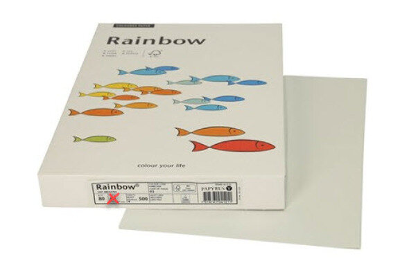 RAINBOW Papier gris clair/93 A3 88042786 FSC, 80g 500 feuilles