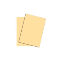 RAINBOW Papier chamois/06 A3 88042281 120g, chamois 250...
