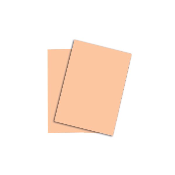 RAINBOW Papier lachs/40 A3 88042503 FSC, 120g 250 Blatt