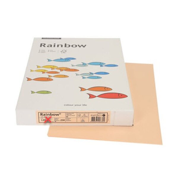 RAINBOW Papier lachs/40 A3 88042503 FSC, 120g 250 Blatt