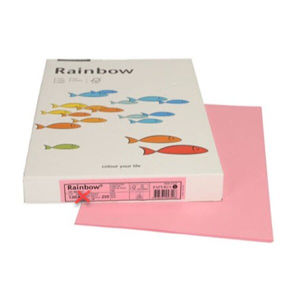 RAINBOW Papier rosa/55 A3 88042547 FSC, 120g 250 Blatt