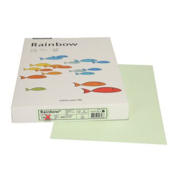 RAINBOW Papier hellgr&uuml;n/72 A3 88042591 FSC, 120g 250 Blatt