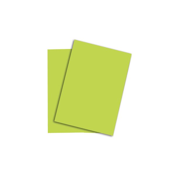 RAINBOW Papier vert vif/74 A3 88047656 FSC, 120g 250 feuilles