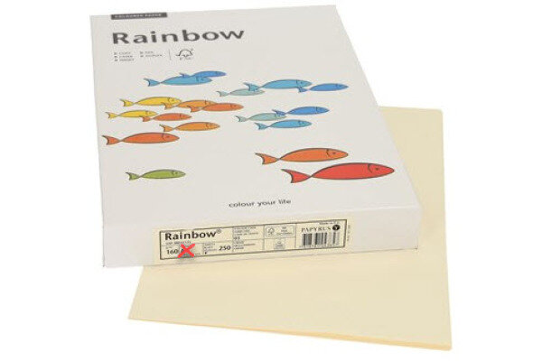 RAINBOW Papier hellchamois/03 A3 88042258 FSC, 160g 250 Blatt