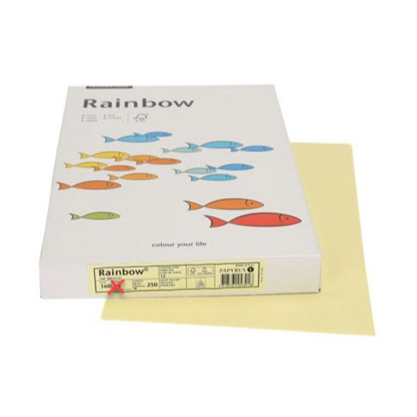 RAINBOW Papier jaune clair/12 A3 88042306 FSC, 160g 250 feuilles