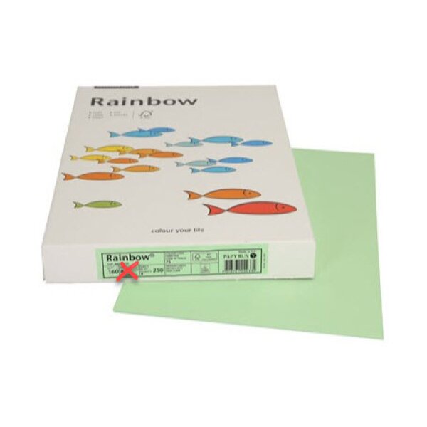 RAINBOW Papier vert moyen/75 A3 88042638 FSC, 160g 250 feuilles