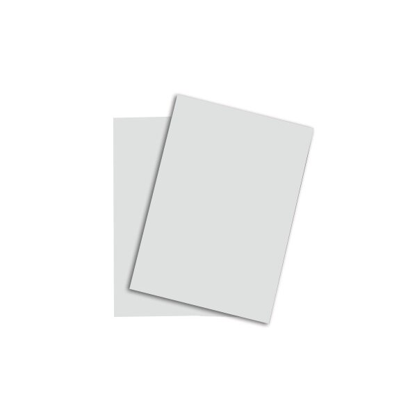 RAINBOW Papier gris clair/93 A3 88042792 160g, gris 250 feuilles