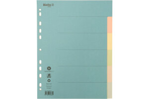 BIELLA Kartonregister A4 46140600U bunt 6-teilig