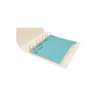 BIELLA Kartonregister A4 46140600U bunt 6-teilig