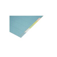 BIELLA Kartonregister A4 46140600U bunt 6-teilig