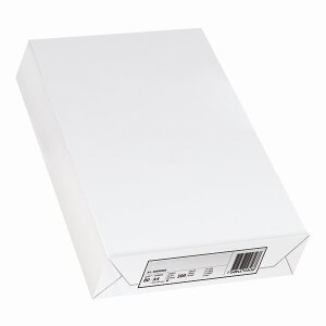 BASIC Papier Universel blanc A4 80g - 1 Palette (100000 Feuilles)
