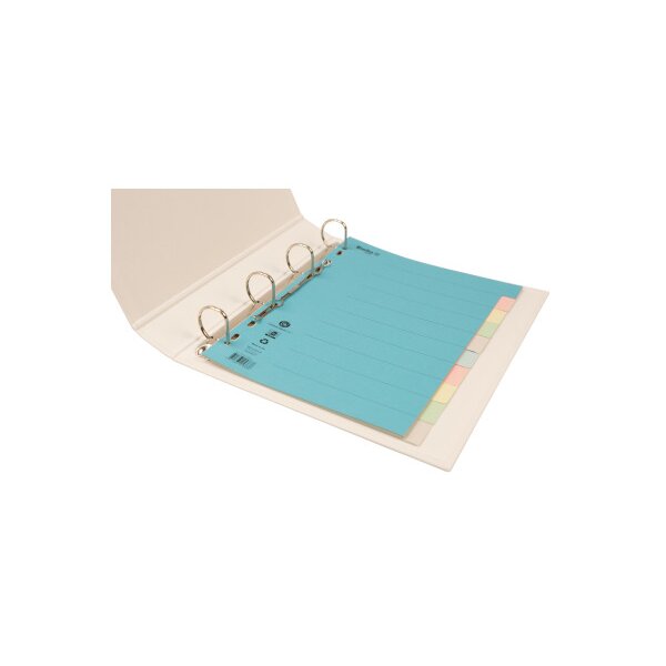 BIELLA R&eacute;pertoires carton A4 46141000U multicouleurs 10 pcs.