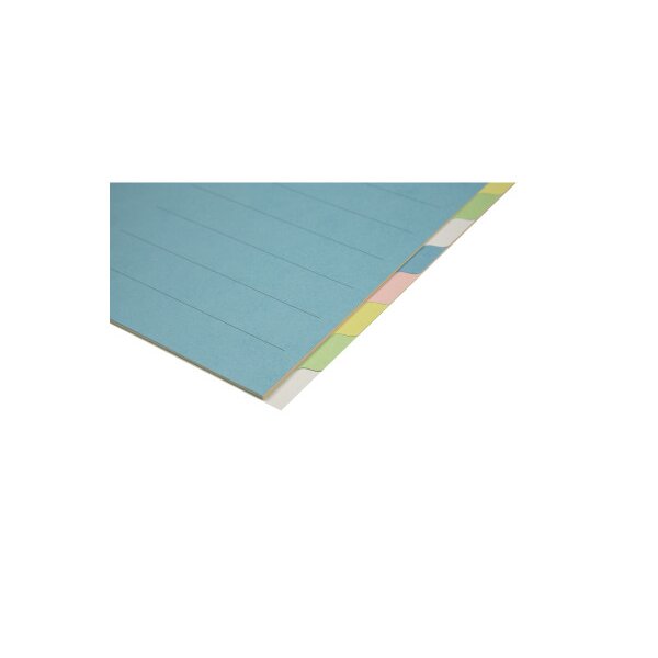 BIELLA R&eacute;pertoires carton A4 46141000U multicouleurs 10 pcs.