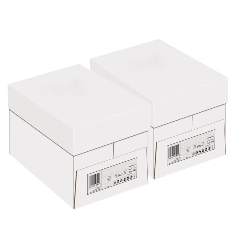 BASIC Universal Kopierpapier weiss A4 80g - 2 Kartons (5000 Blatt)