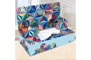 ROOST Mouchoir box 1376029 3D