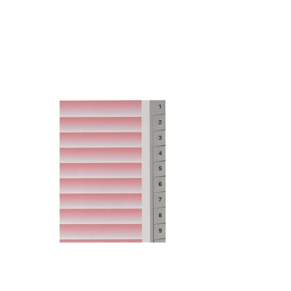 KOLMA R&eacute;pertoires KolmaFlex A4 18.120.03 gris 1-20