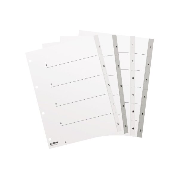 KOLMA Register KolmaFlex A4 18.554.03 grau 1-5