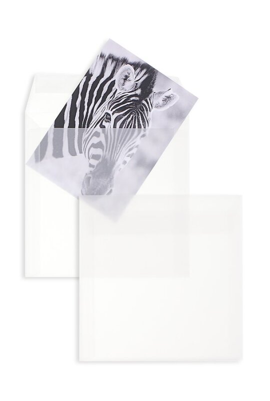 BLANKE Enveloppe carr&eacute;e 160 x 160 mm sans fen&ecirc;tre transparent-blanc 100g - 100 pi&egrave;ces
