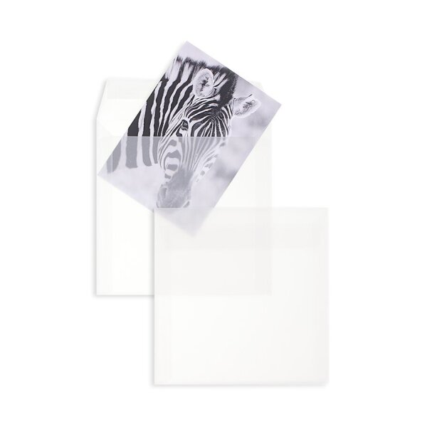 BLANKE Couvert quadratisch 220 x 220 mm ohne Fenster transparent-weiss 100g - 250 Stück