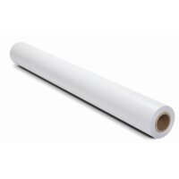 HP Everyday Pigm.Satin Phot.30,5m Q8920A DesignJet Z6100...