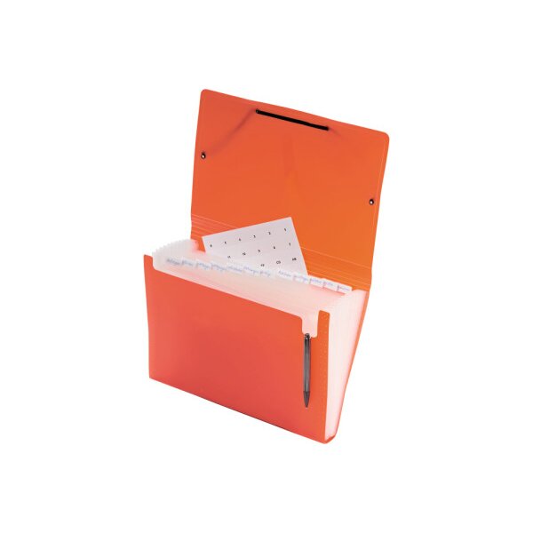 KOLMA Sammelmappe Daily Easy A4 11.017.20 multicolor 13 Taschen