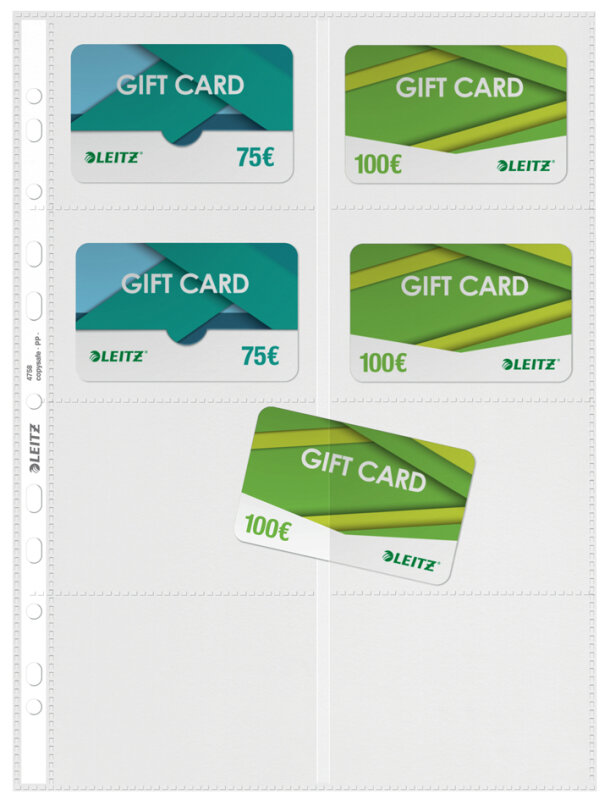 LEITZ Pochette perfor&eacute;e pour 16 cartes de visite, format A4