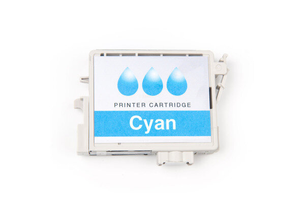 CANON Cartouche dencre cyan PFI1700C iPF PRO-2000/PRO-6000S 700ml